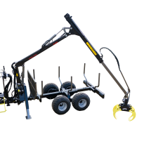 Forest crane PALMS 3.63