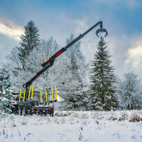 Forest trailer PALMS HMWD 3.2