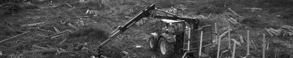 How to choose a forest crane?
